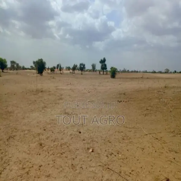 Terrain De 1,87 Hectare Vers Touba Toul