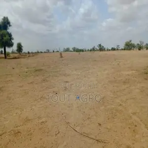 Terrain De 1,87 Hectare Vers Touba Toul
