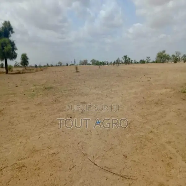 Terrain De 1,87 Hectare Vers Touba Toul