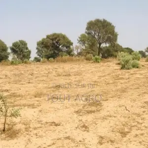 Terrain De 1,90 Hectare Vers Cherif Lô
