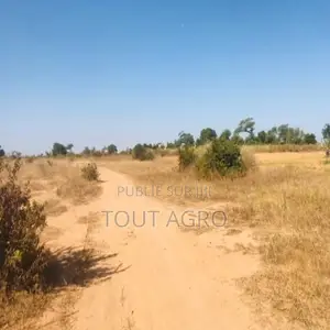 Photo - Terrain De 1,91 Hectare Vers Notto Diobass