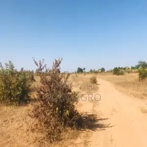 Terrain De 1,91 Hectare Vers Notto Diobass