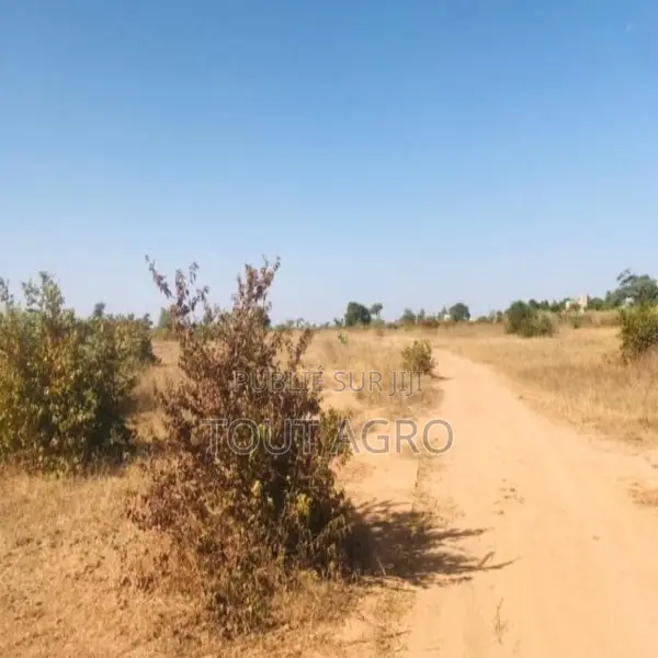 Terrain De 1,91 Hectare Vers Notto Diobass