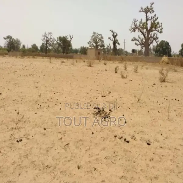 Terrain De 1,93 Hectare Vers Sindia