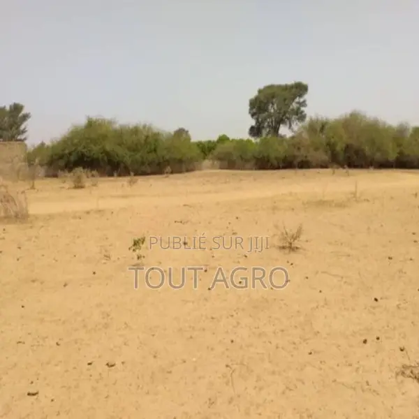 Terrain De 1,93 Hectare Vers Sindia