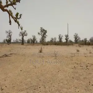 Terrain De 1,93 Hectare Vers Sindia