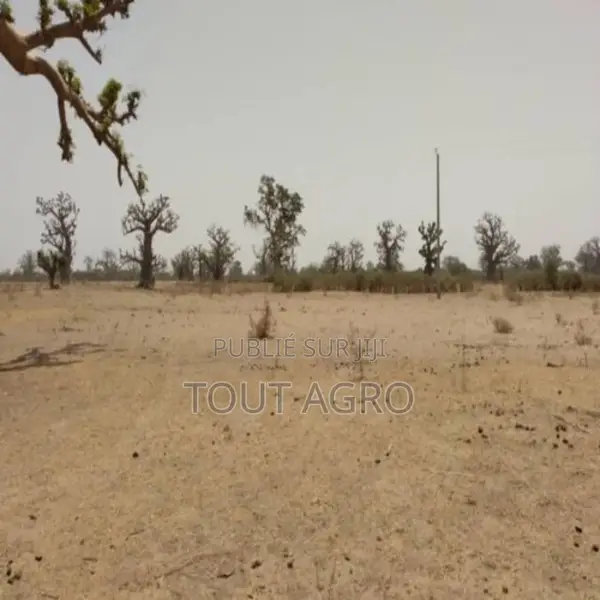 Terrain De 1,93 Hectare Vers Sindia