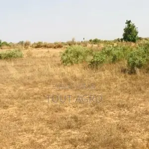 Terrain De 1,99 Hectare Vers Cherif Lô