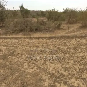 Terrain De 10 Hectares Vers Darou Khoudoss