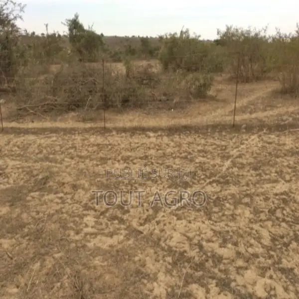 Terrain De 10 Hectares Vers Darou Khoudoss
