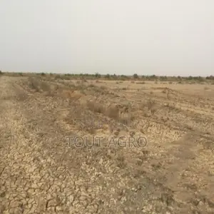 Terrain De 10 Hectares Vers Diama
