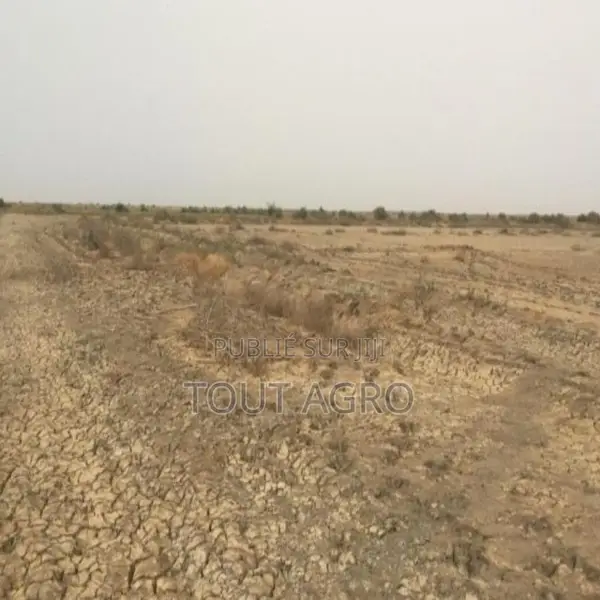 Terrain De 10 Hectares Vers Diama
