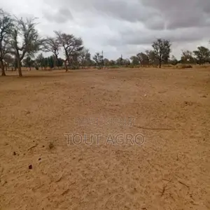Photo - Terrain De 10 Hectares Vers Keur Samba Kane