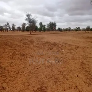 Terrain De 10 Hectares Vers Keur Samba Kane