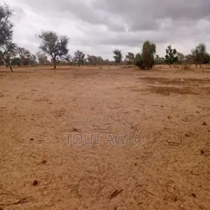 Terrain De 10 Hectares Vers Keur Samba Kane