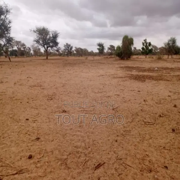 Terrain De 10 Hectares Vers Keur Samba Kane
