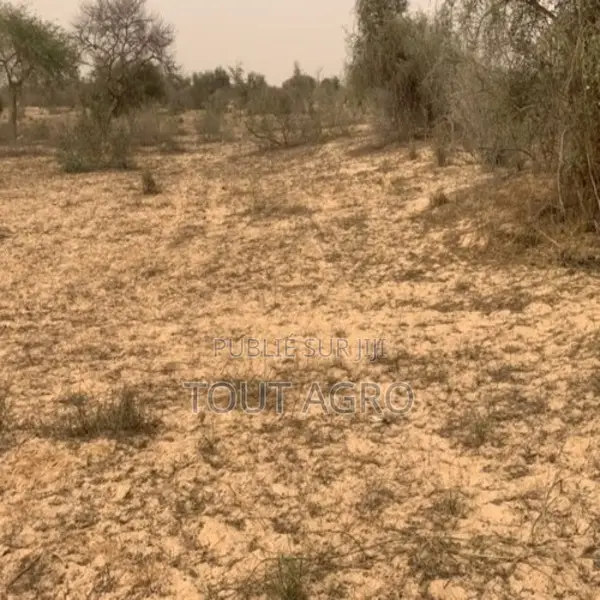 Terrain De 10,18 Hectares Vers Kébémer