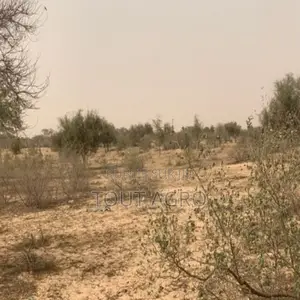 Terrain De 10,18 Hectares Vers Kébémer