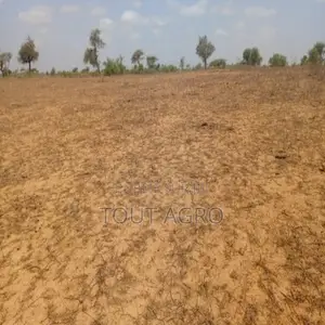 Terrain De 12,08 Hectares Vers Touba Toul