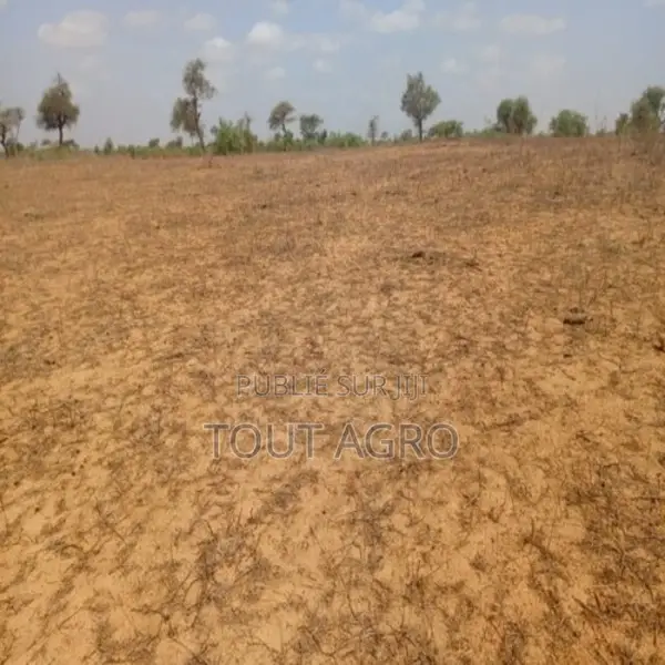 Terrain De 12,08 Hectares Vers Touba Toul