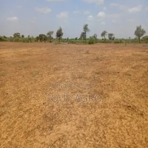 Terrain De 12,08 Hectares Vers Touba Toul