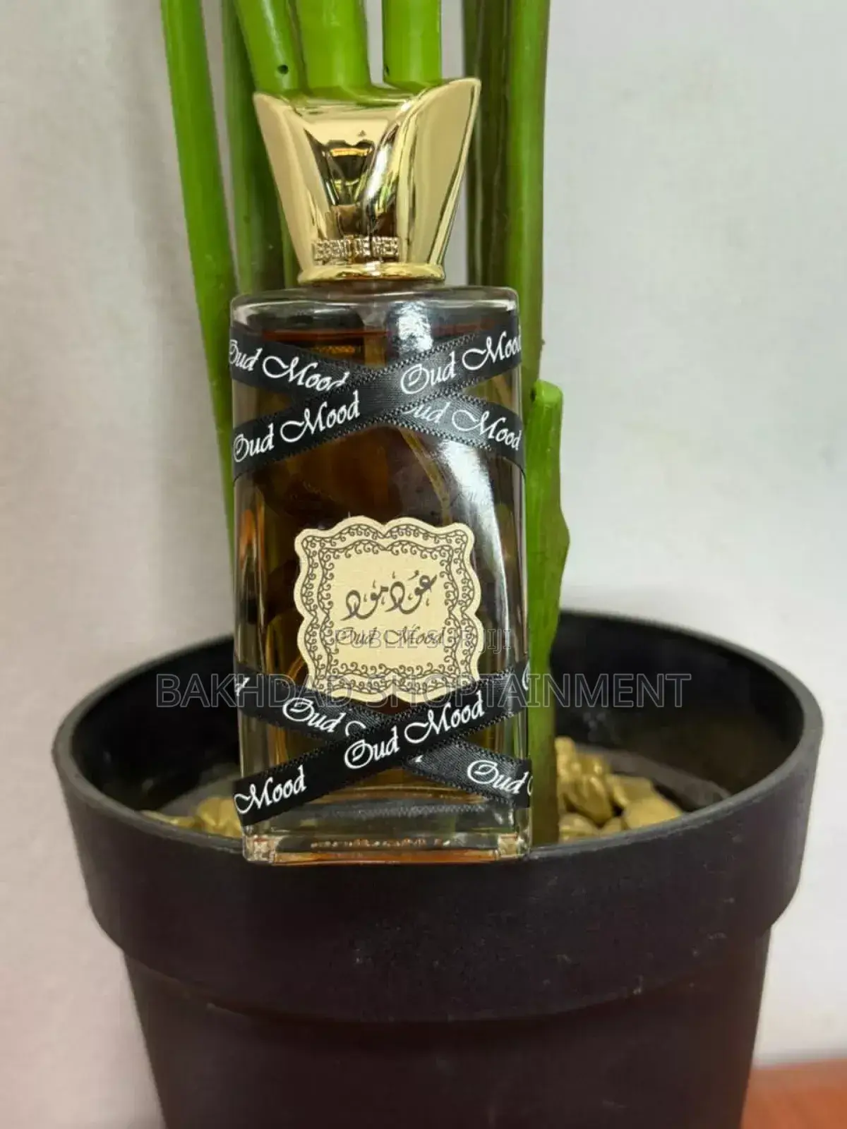 Oud 50ml en Gros