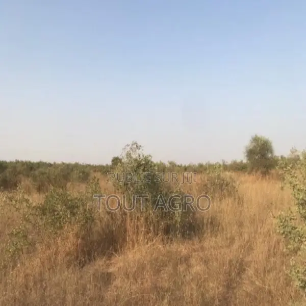 Terrain De 15 Hectares Vers Thiénaba