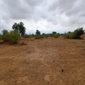 Photo - Terrain De 16 Hectares Vers Keur Samba Kane