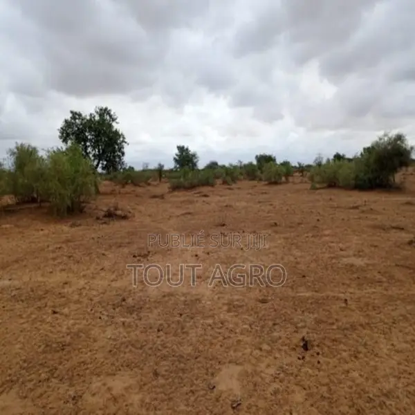 Terrain De 16 Hectares Vers Keur Samba Kane