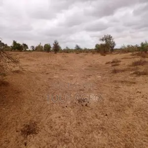 Terrain De 16 Hectares Vers Keur Samba Kane