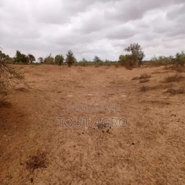 Terrain De 16 Hectares Vers Keur Samba Kane