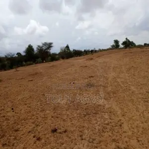 Terrain De 16 Hectares Vers Keur Samba Kane