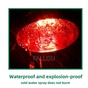 Ampoule Chauffage 100wt 150 Wt 200wt