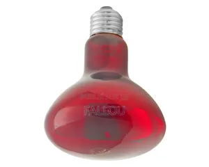 Ampoule Chauffage 100wt 150 Wt 200wt