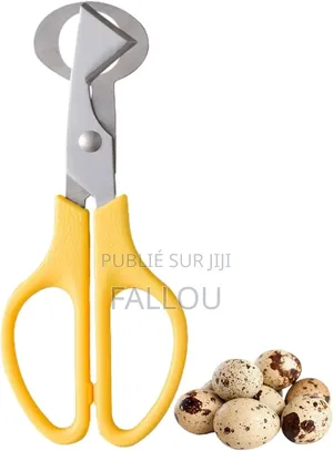 Photo - Découpeur D’Œufs De Caille Professionnel
