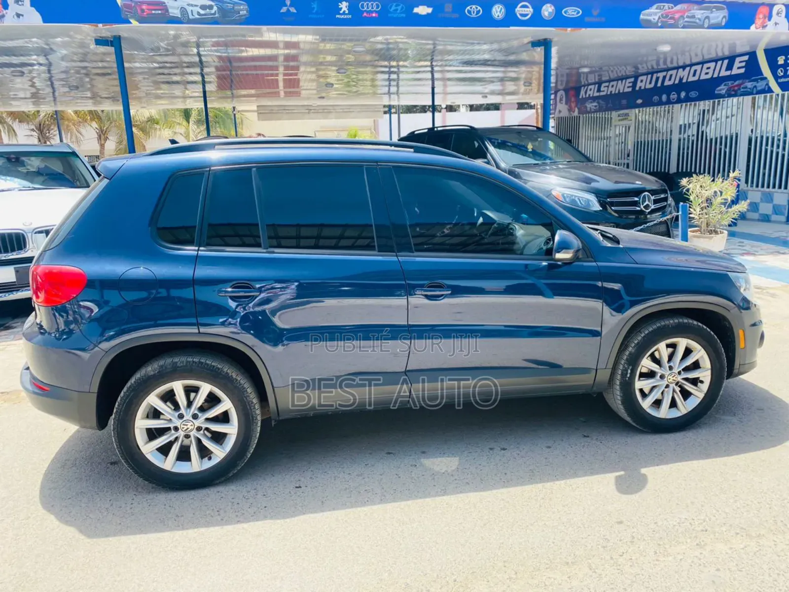 Volkswagen Tiguan 2015 Bleu
