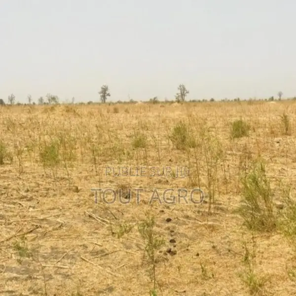 Terrain De 2 Hectares Vers Nguéniène