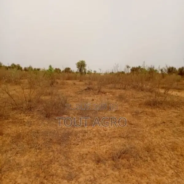 Terrain De 2 Hectares Vers Thiénaba