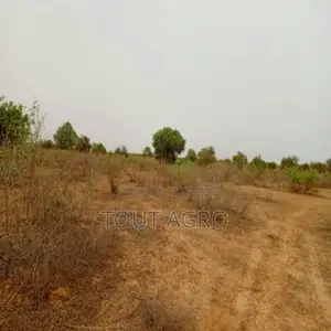 Terrain De 2 Hectares Vers Thiénaba
