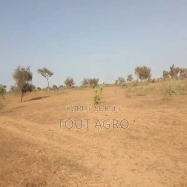 Terrain De 2 Hectares Vers Thiénaba