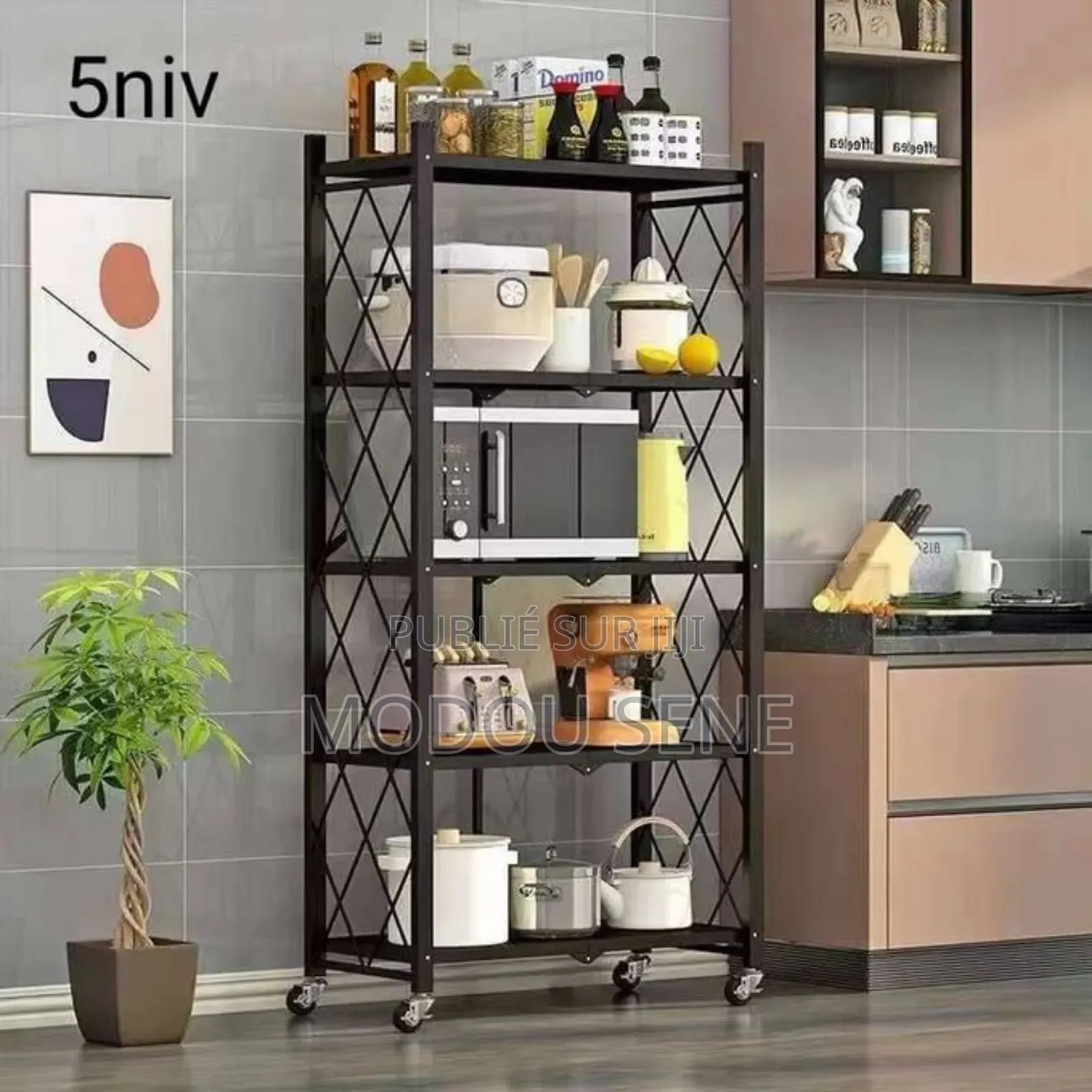 Étagère 5 Niveau en Fer