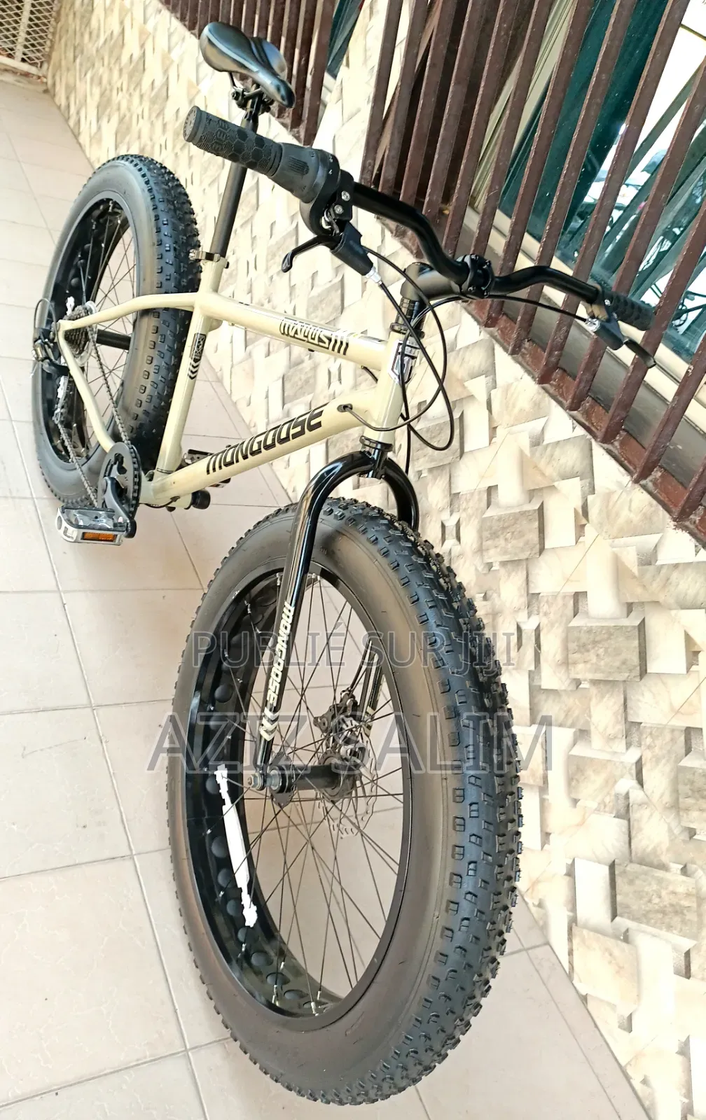 VTT Fat Bike