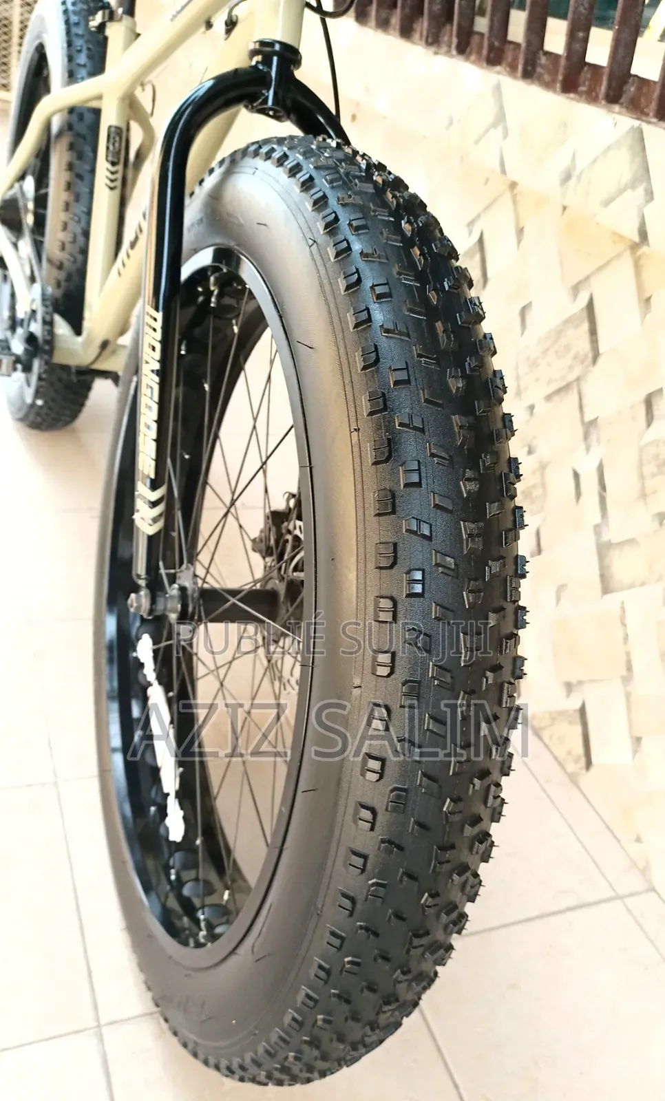 VTT Fat Bike