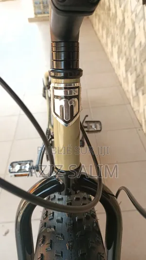 VTT Fat Bike