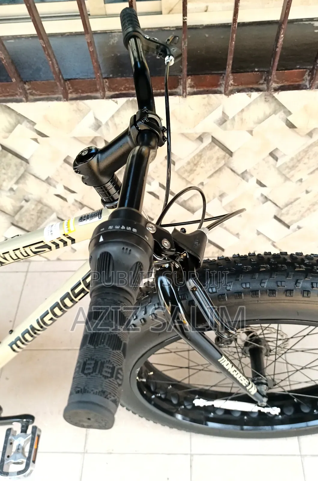 VTT Fat Bike