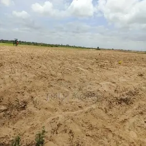 Photo - Terrain De 1 Hectare Vers Tassette