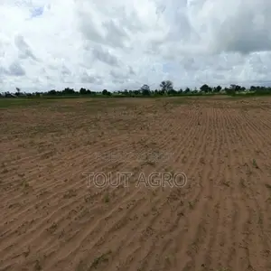Terrain De 1 Hectare Vers Tassette