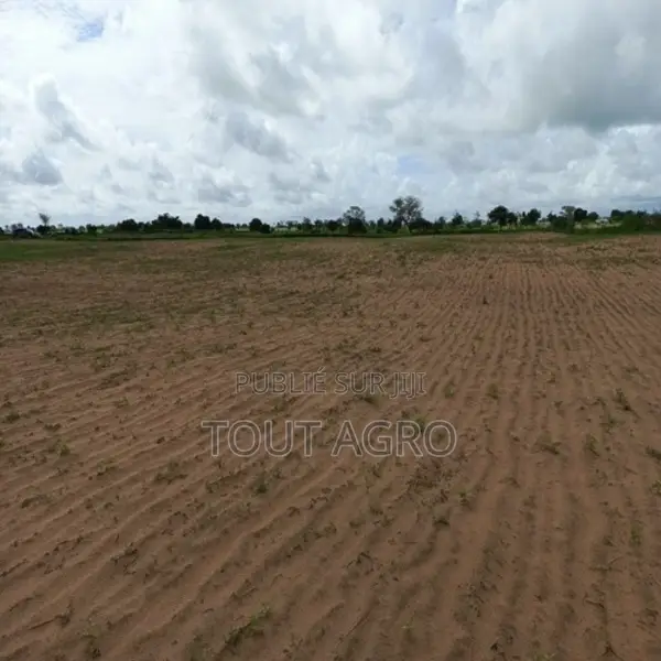 Terrain De 1 Hectare Vers Tassette