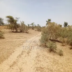 Photo - Terrain De 100 Hectares Vers Koul
