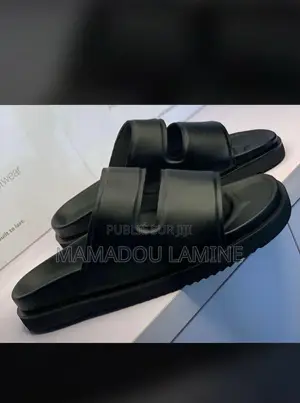 Photo - Le Compagnon Idéal Pour Vos Pieds